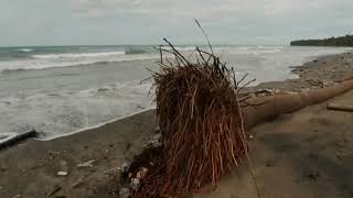 preview picture of video 'Kampung Penyu Terancam Abrasi - Kepulauan Selayar'