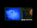 Arasatchi Full Movie Part8
