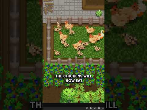 The Chickens will now eat! 🌱🐔
