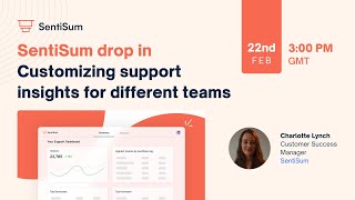 Customizing support insights for different teams with SentiSum dashboards