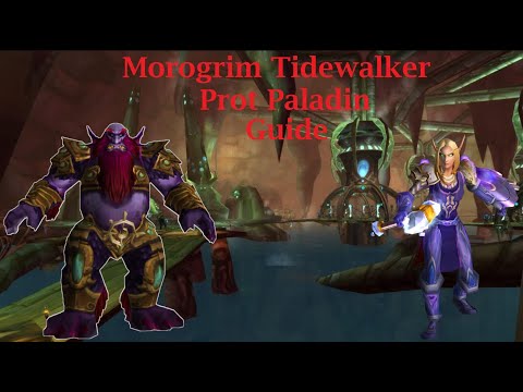 Morogrim Tidewalker Prot Paladin Guide - TBC Classic