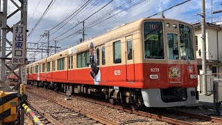 【万博ラッピングやリーグ優勝記念ラッピングなど】阪神電車打出～香櫨園駅間　通過列車集
