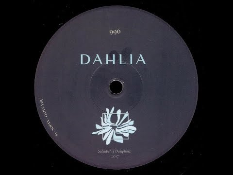 Nopax - I Love You [DAHLIA996]