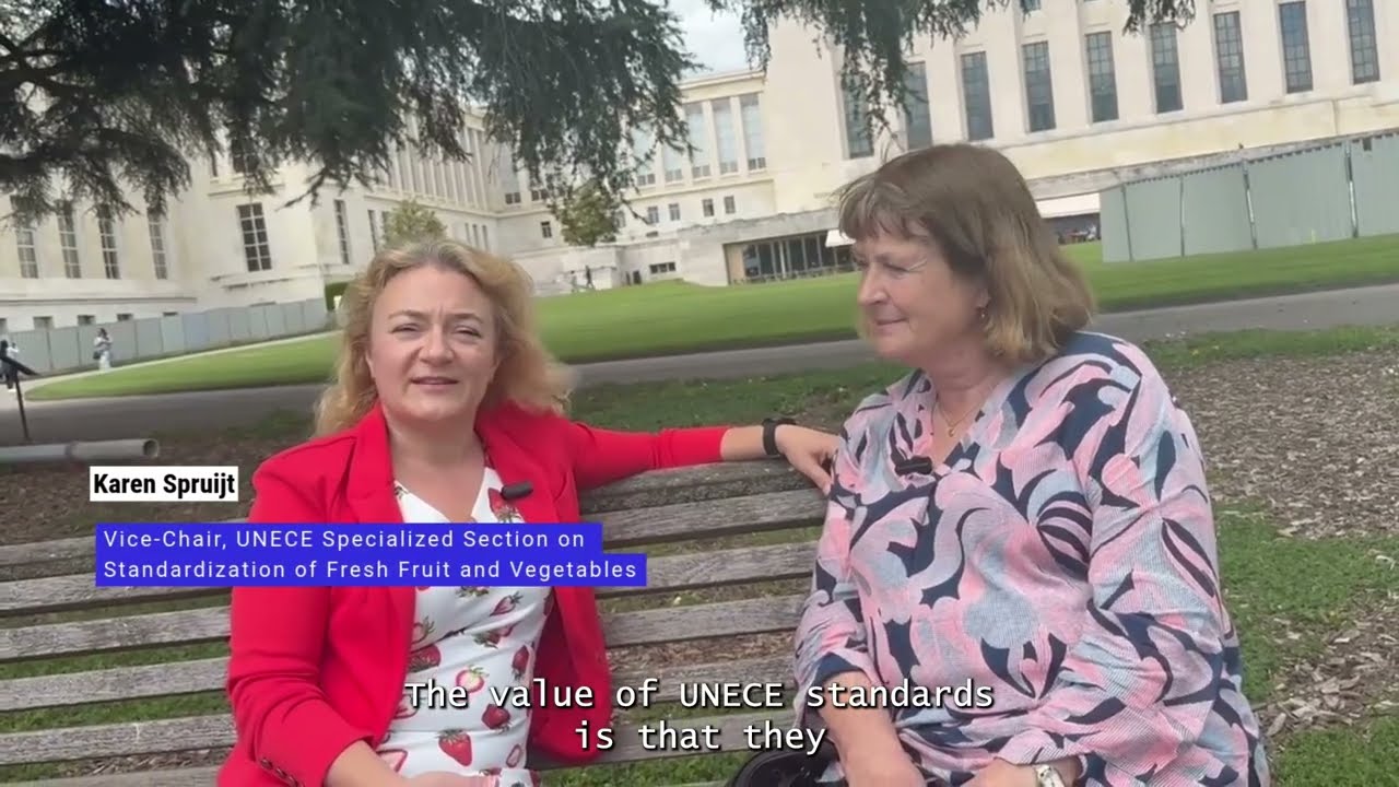 The Trade Talk: understanding UNECE Standards for Fresh Fruit and Vegetables