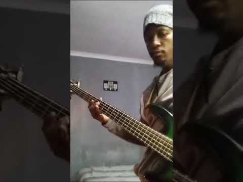 Ntandane - Busi Mhlongo (bass Cover)