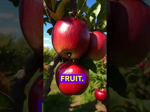 Red Delicious Apples