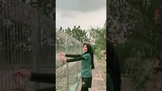 Download lagu Video Mentahan Bahan Halu Buat Manasin mantan, prank temen. STORY WA @Alvina mp3 Download lagu Video Mentahan Bahan Halu Buat Manasin mantan, prank temen. STORY WA @Alvina mp3