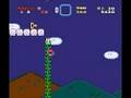 Super Mario World Custom Level Pointy Situation