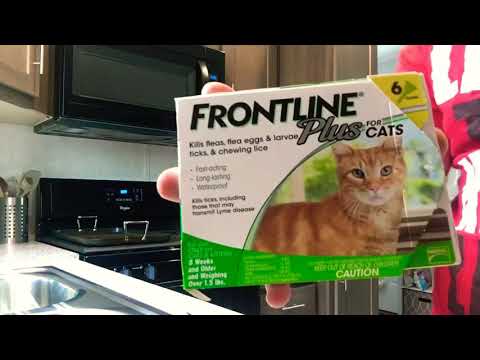 How to apply Frontline plus on kitten/cats