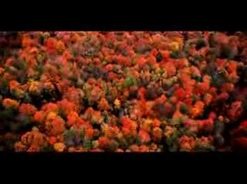 Harvest Time - Pure Michigan