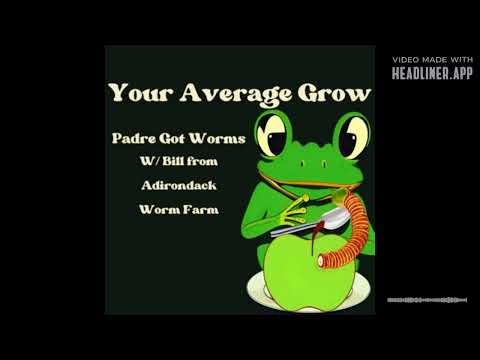 Padre Got Worms W  Bill from Adirondack Worm Farm
