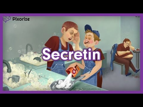 Secretin Mnemonic for MCAT