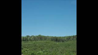 Mark Kozelek—You Missed My Heart (cover)