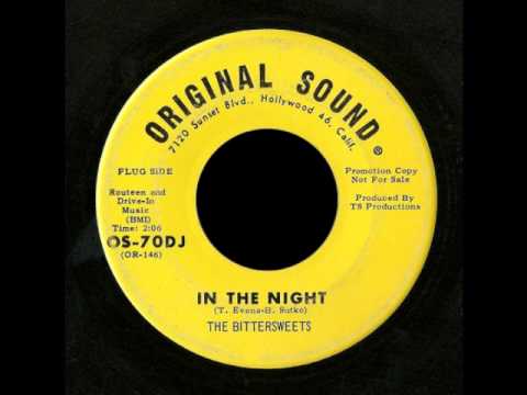 The Bittersweets - In the Night ('60s GARAGE)