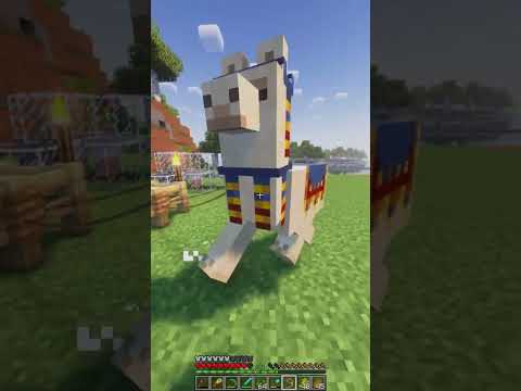 Recoil Mojo - Minecraft 1.19 Realms New Shaders & Mods Survival Multiplayer Series Java SMP (Join Discord for IP!)