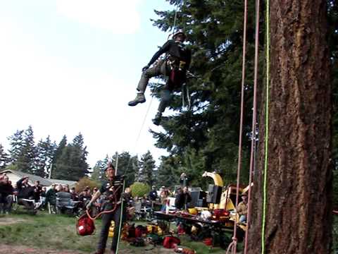 Aerial Tree Rescue Demonstration