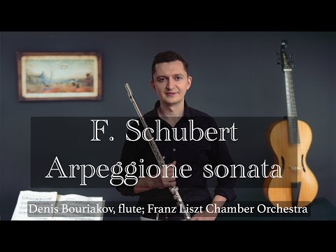 F. Schubert:  Sonata D. 821 "Arpeggione"