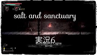 salt  and  sanctuary 実況  6