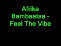 Afrika Bambaataa - Feel the Vibe.wmv 