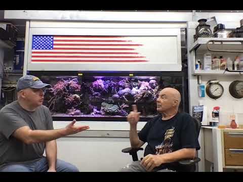 Paul B Interview - Learn How to NOT Quarantine