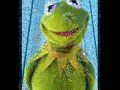 Kermit The Frog Slideshow