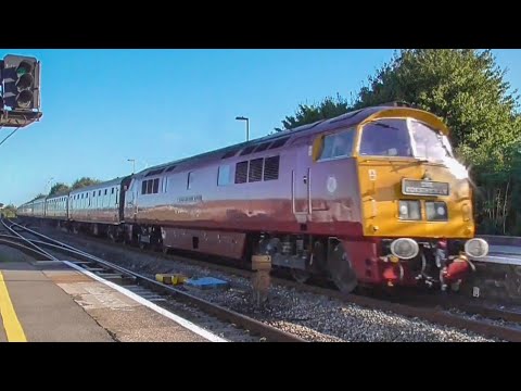 D1015 "Western Champion" Storms Bridgwater On The Mazey Day Cornishman  17/09/16