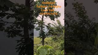  Residential Plot for Sale in Oodlabari, Jalpaiguri
