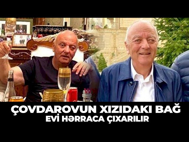 Vüqar Tofiqoğlunun 