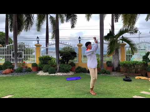 ENTRY #4 MVH 21ST ANNIVERSARY