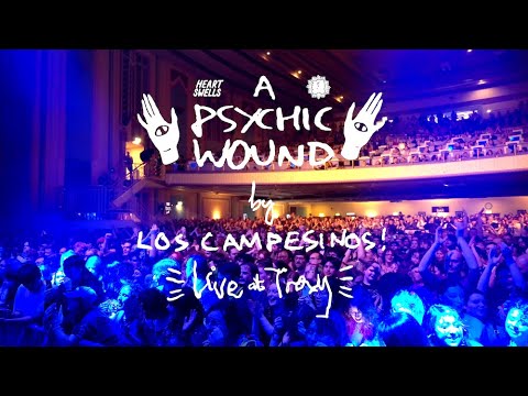 Los Campesinos! - A Psychic Wound (Official Music Video)