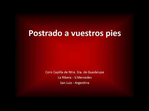 Postrado a vuestros pies.