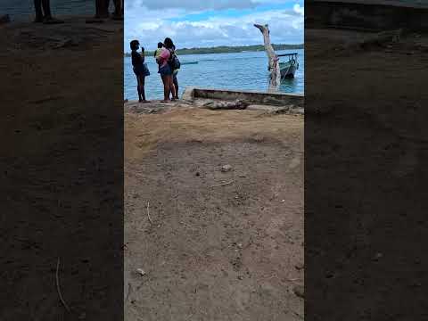 Ilha de campinho marau Bahia