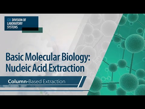 Basic Molecular Biology: Nucleic Acid Extraction – Column-Based Extraction