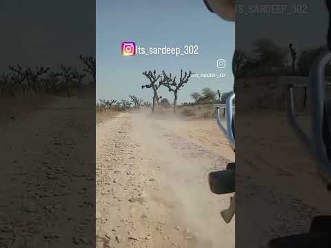 jinete accidente mortal | #bike #rider #biker #shorts #subscribe #crash