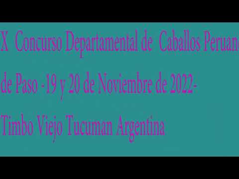 CABALLOS PERUANOS DE PASO TIMBO VIEJO 2022-TUCUMAN ARGENTINA-DESFILE DE CAMPEONES-