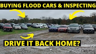 FLOOD WRECKED CAR BUYING & WE DRIVE 2 BACK HOME