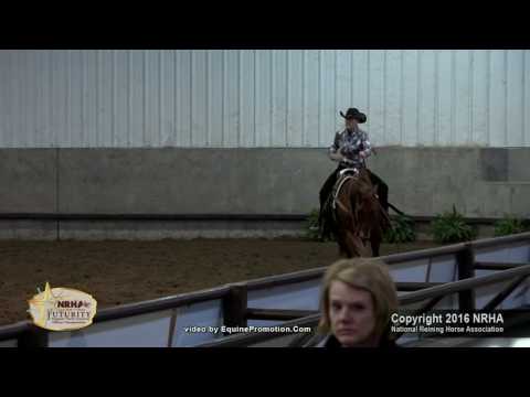 2016 NRHA Futurity