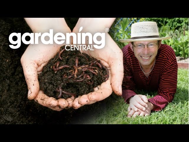 Worm Power - Dulong, QLD