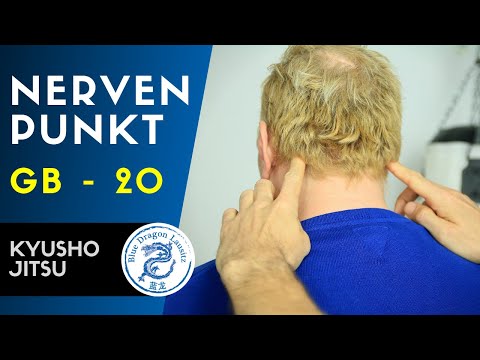 Pressur Point GB - 20 I Blue Dragon - Lausitz I Kyusho