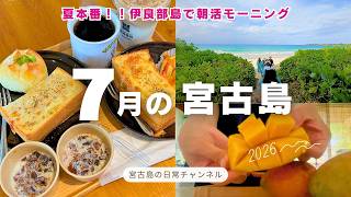 【日常vlog】7月の宮古島| 伊良部島のビーチで朝活からのモーニング☕️🥐台風9号で大規模停電した島のリアル🌀マンゴー農園の悲鳴🥭
