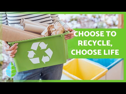 The IMPORTANCE of RECYCLING for the ENVIRONMENT ♻️🌏