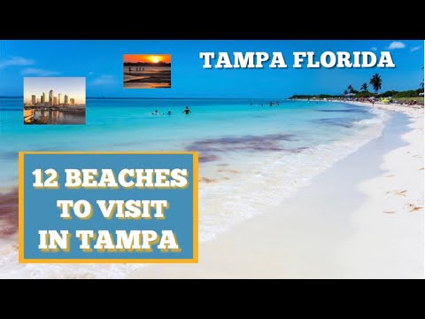 12 BEACHES TO VISIT IN TAMPA FLORIDA || ANALYN IN FLORIDA