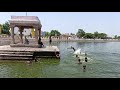 Saravana Poigai