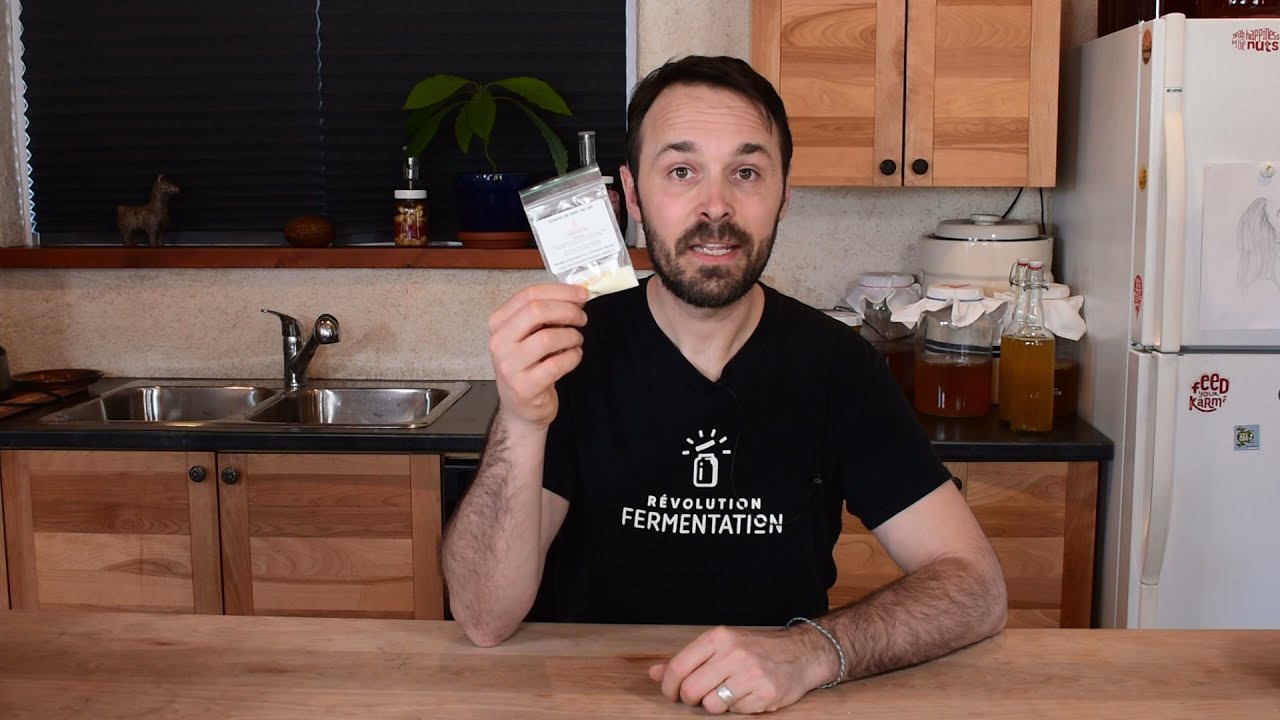 Grains de kéfir de lait déshydratés par Révolution Fermentation