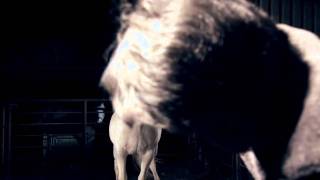 Xu Xu Fang China Girl (David Bowie)