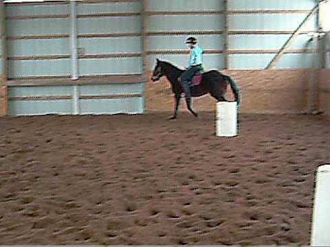 Cami the P.O.A. Pony!