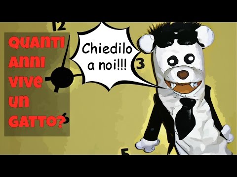 Se la donna incinta sogna vermi Medicine per capre da vermi