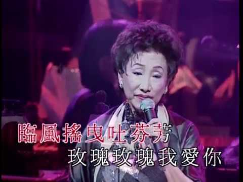 潘迪華 - 玫瑰玫瑰我愛你 (潘迪華．情牽真我演唱會)