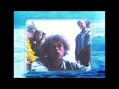 The Parrots - To The People Who Showed Me Their Love While I Was Here (Offcial Video)