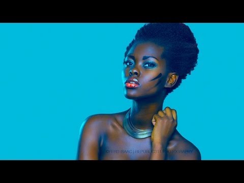 How to Set Up and Use a Wacom Tablet